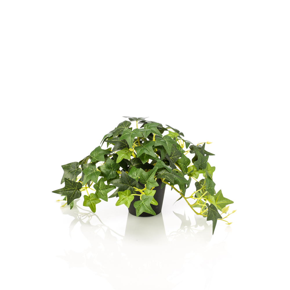 Realistic Artificial Hedera Ivy Potted Plant | Green Foliage | Indoor Decor | 19cm Height