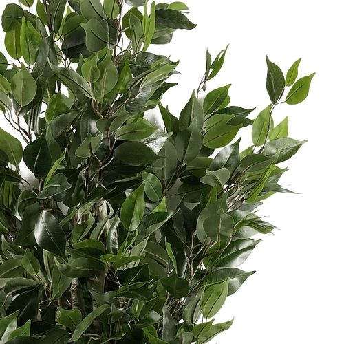 110cm Leaf Realistic Artificial Ficus Tree / Plant Silver Curve Planter