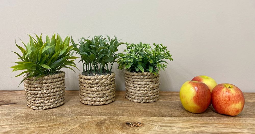 Stylish Rope Effect Pots with Artificial Succulents - Set of 3