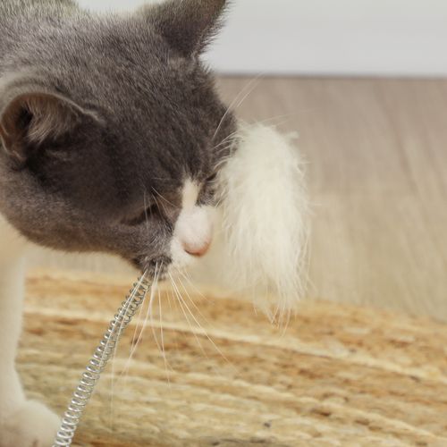 PawHut 49cm Cat Scratching Post with Interactive Track Ball Toy for Indoor