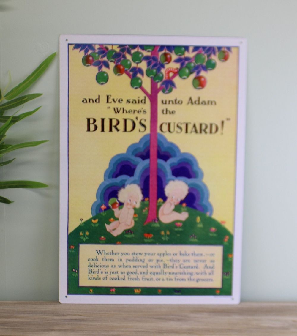 Retro Birds Custard Metal Sign - Vintage Advertising - 0.1 x 40 x 28cm