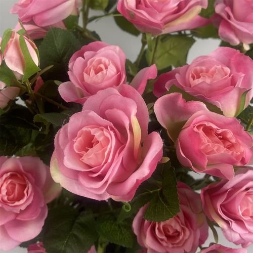 60cm Rose Bush Premium Pink Silk Flowers and Leaves