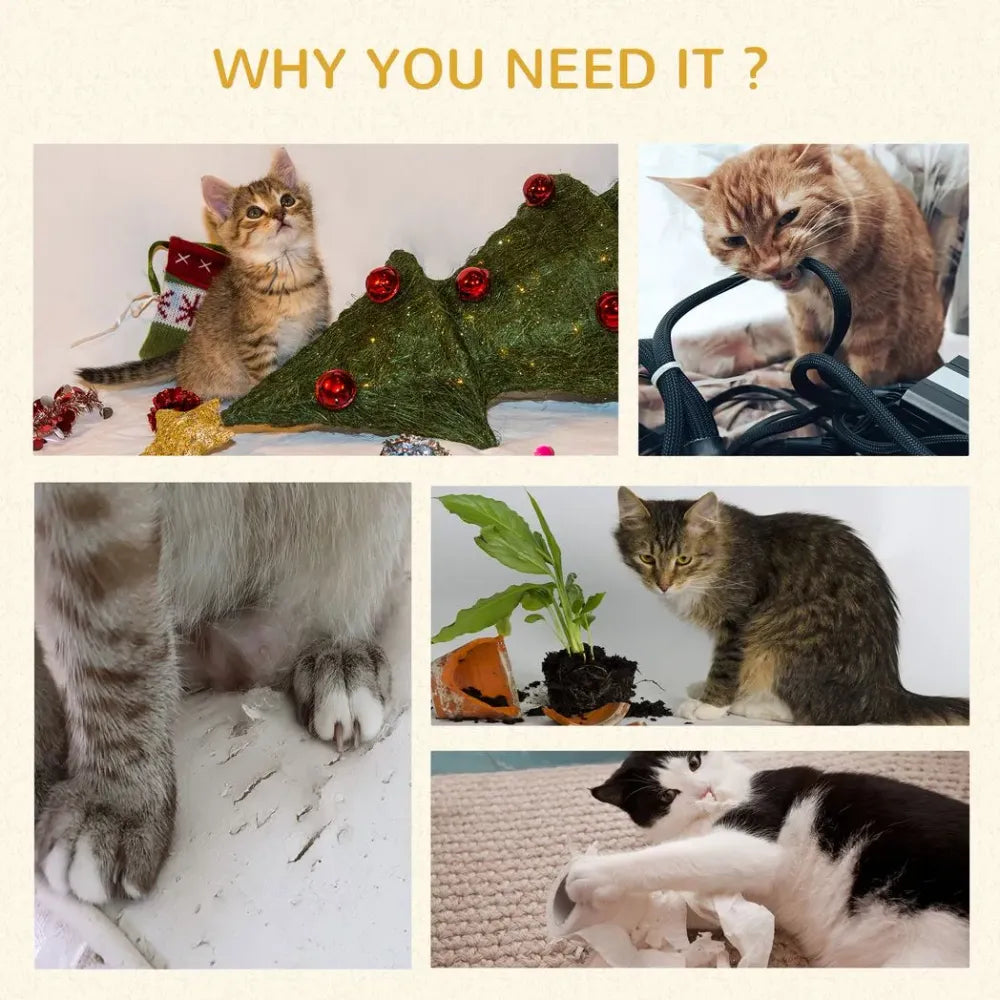 51cm Cat Tree Kitty Activity Centre | Top Bed, Toy Ball, Sisal Scratching Post | Premium Quality