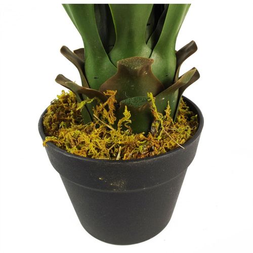 55cm Artificial Yucca Plant