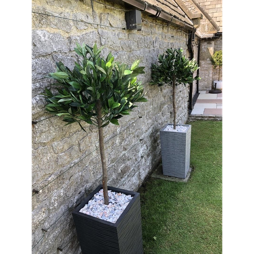 120cm (4ft) Plain Natural Trunk Artificial Topiary Bay Laurel Ball Tree
