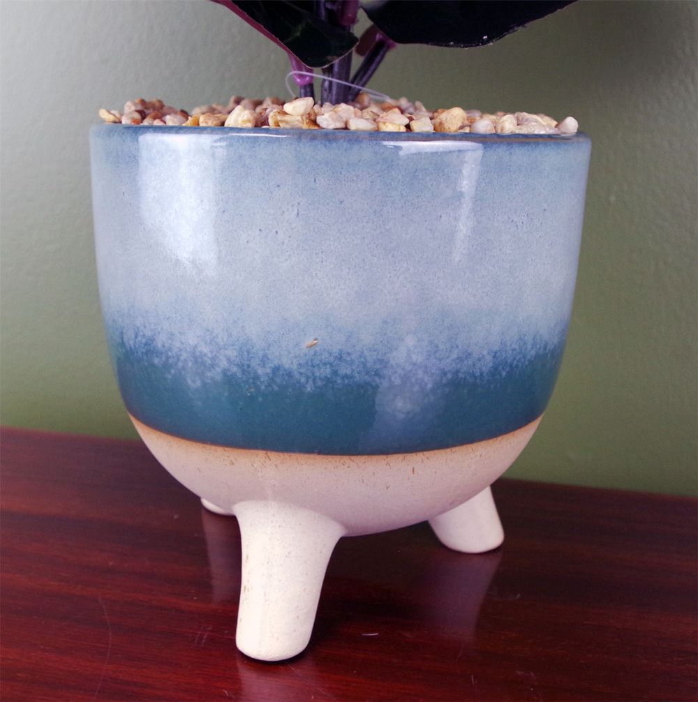 Premium 35cm Artificial Ficus Plant - Teal Blue Green Ceramic Planter