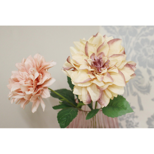 Dahlia Flower Stems
