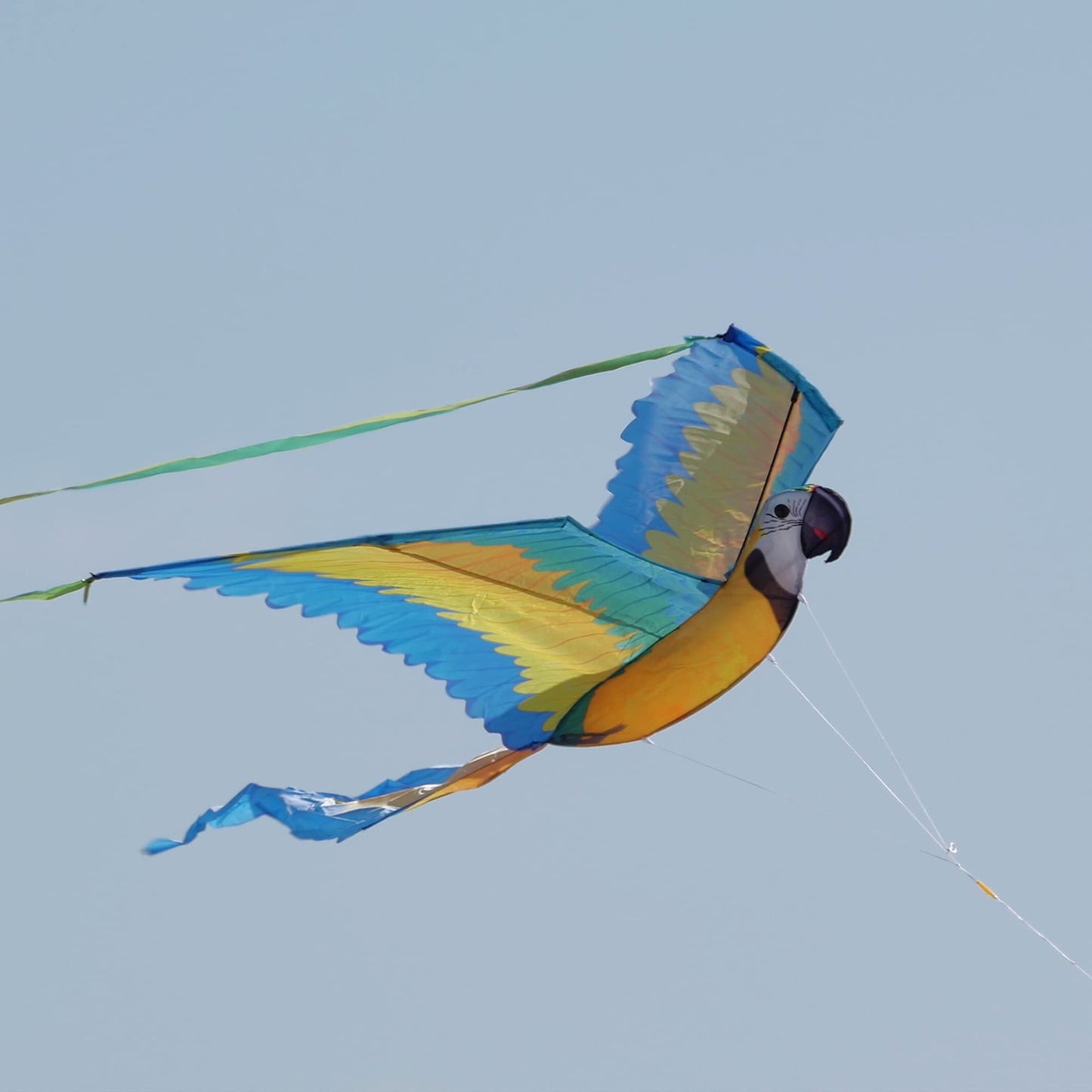WindNSun Super Size 3D Blue Macaw Kite – 74-Inch Wingspan Nylon Parrot