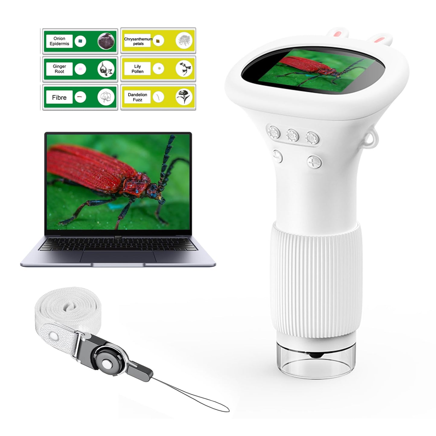 WINWEND Kids Microscope — Portable Handheld Digital Microscope 100x-1000x, 8 LED Lights, 400-Photo Storage