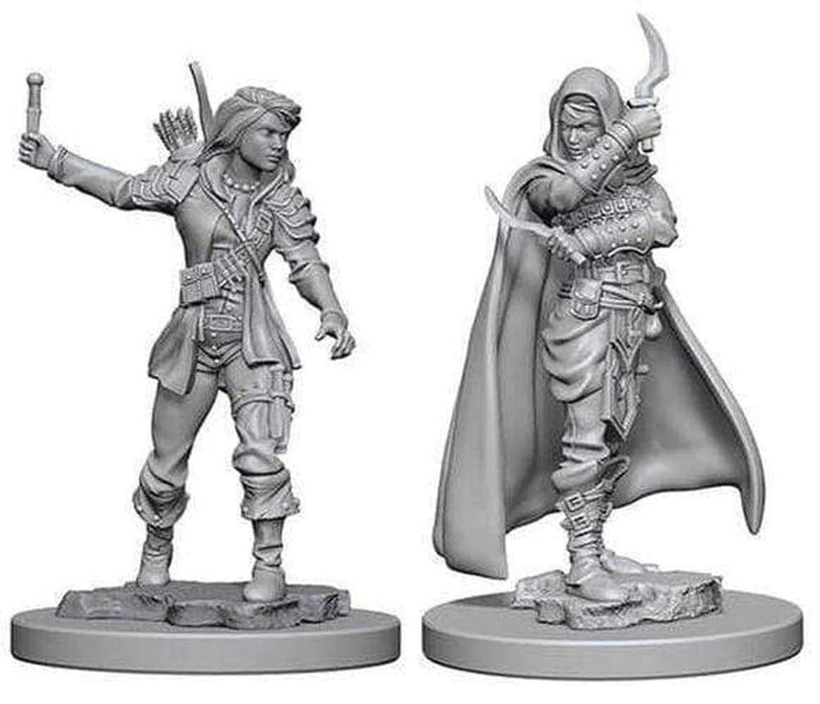 WizKids Nolzur's Marvelous Unpainted Human Rogue Male Miniature
