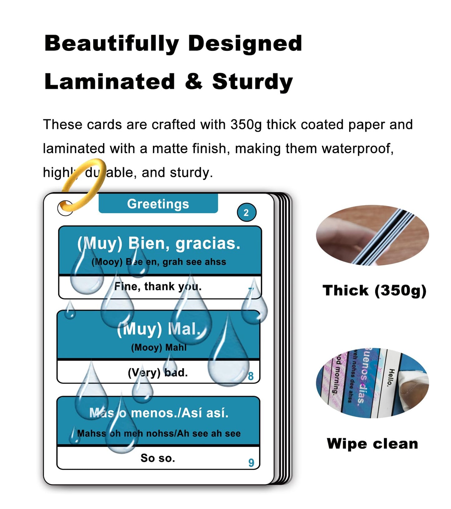 Woifish 500 Common Spanish Phrases Flash Cards for Beginners