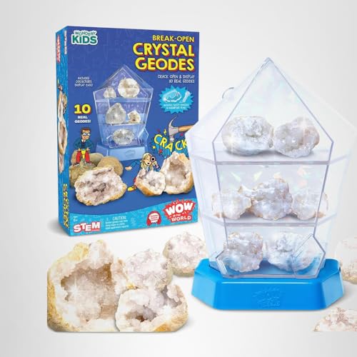 Wow in The World: 10 Real Crystal Geodes with Display Case – STEM Geology Toy for Kids 6+ (Thames & Kosmos)