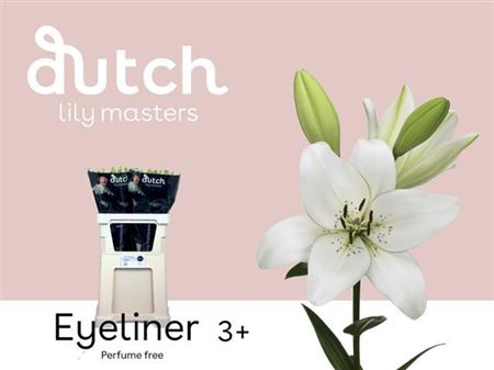 Lily - Lilium - LA Eyeliner