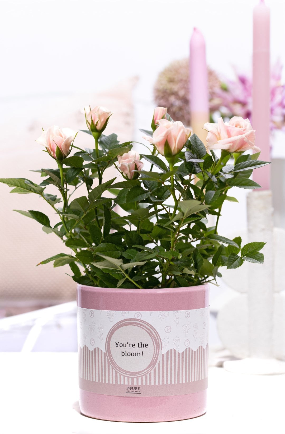 Rose Bm Licht Roze Keramiek You're The Bloom