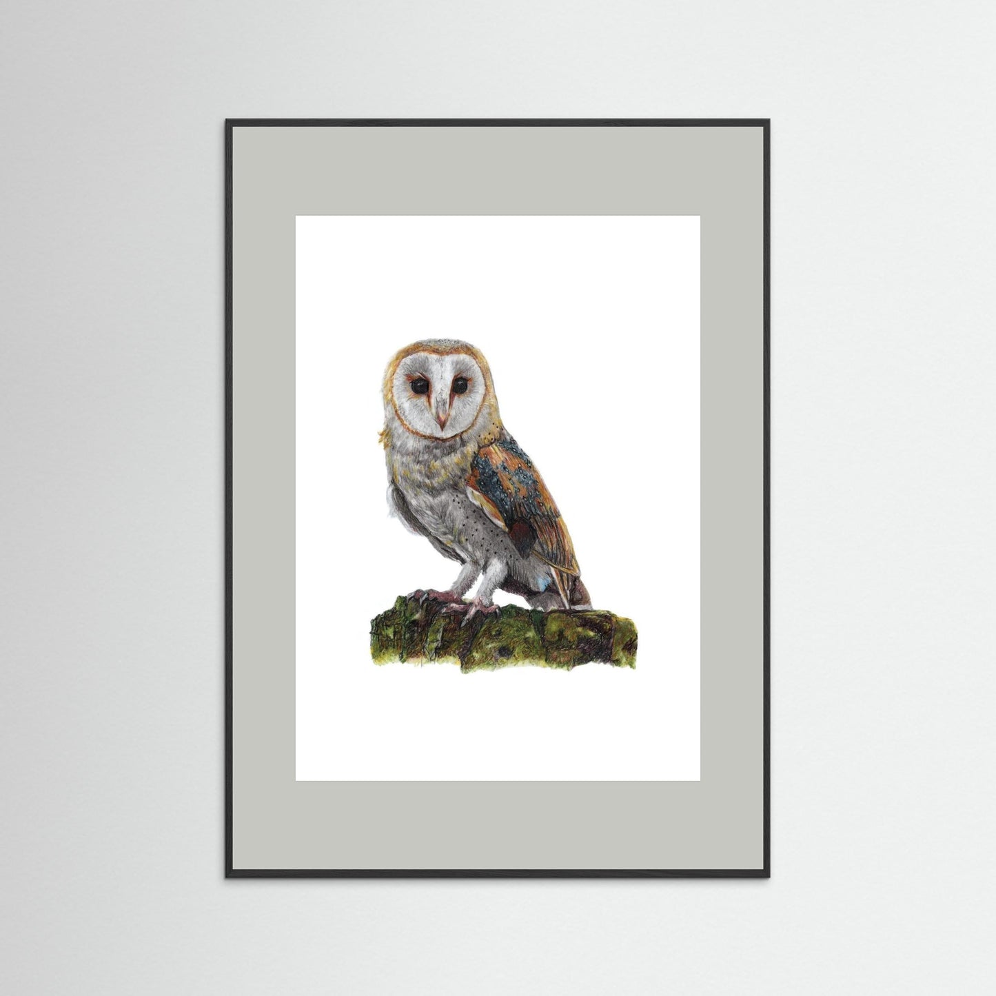 Barn Owl Wildlife Framed Art Print | British Bird Wall Art