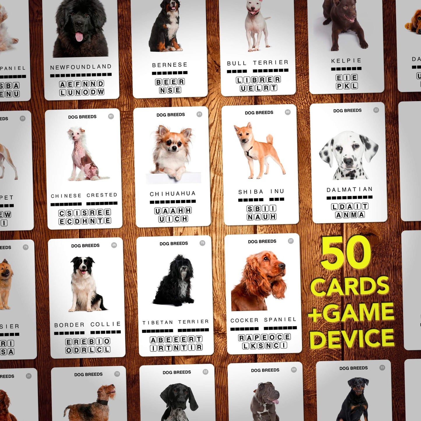 100 PICS Dogs Travel Game – Learn 100 Dog Breeds with Slide Reveal Case
