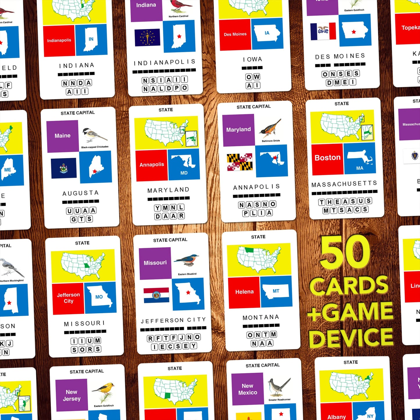 100 PICS US States & Capitals Flash Cards | Learn All 50 States & Capitals