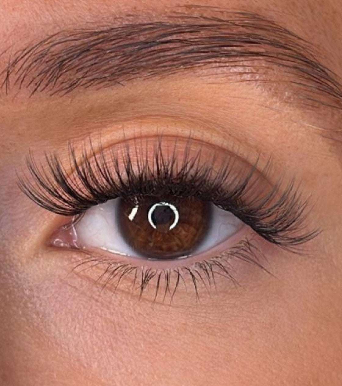 Niamh - 3D 'D' Curl Lash Ribbons®