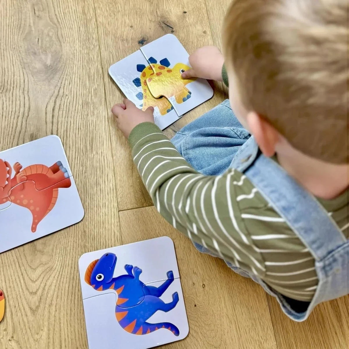 My First Match! Dinosaur Friends Puzzle
