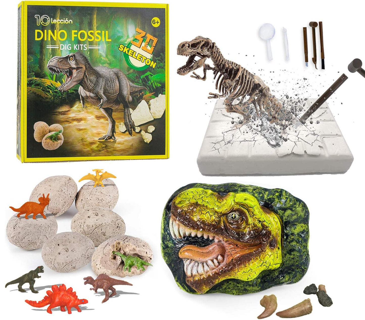 10Leccion Dinosaur Fossil Digging Kit for Kids – Real Fossils, 3D T-Rex Skeleton, 6 Dino Eggs, STEM Gift
