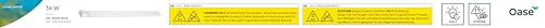 OASE 55432 replacement lamp UVC 36 W, suitable for Bitron C 36 W, Bitron C 72 W (2x) and FiltoClear 20000