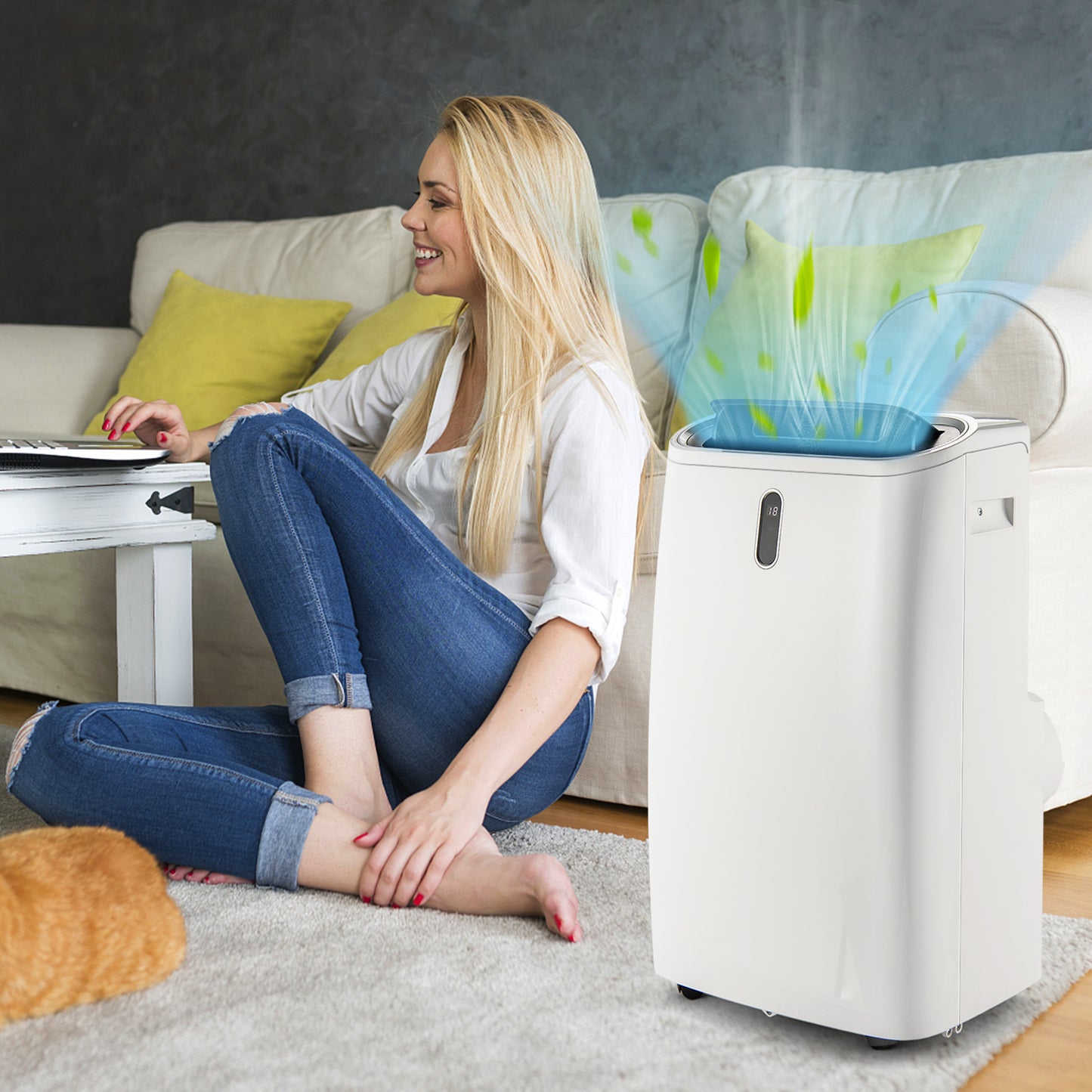 12000 BTU 4-in-1 Air Conditioner with Smart APP Control and Heat Function