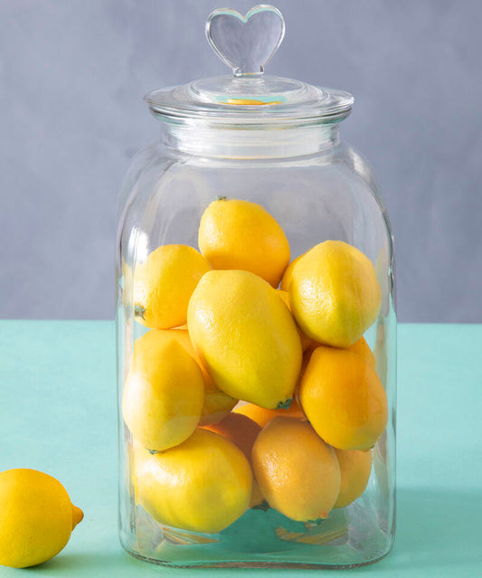 Valentine Large Storage Jar