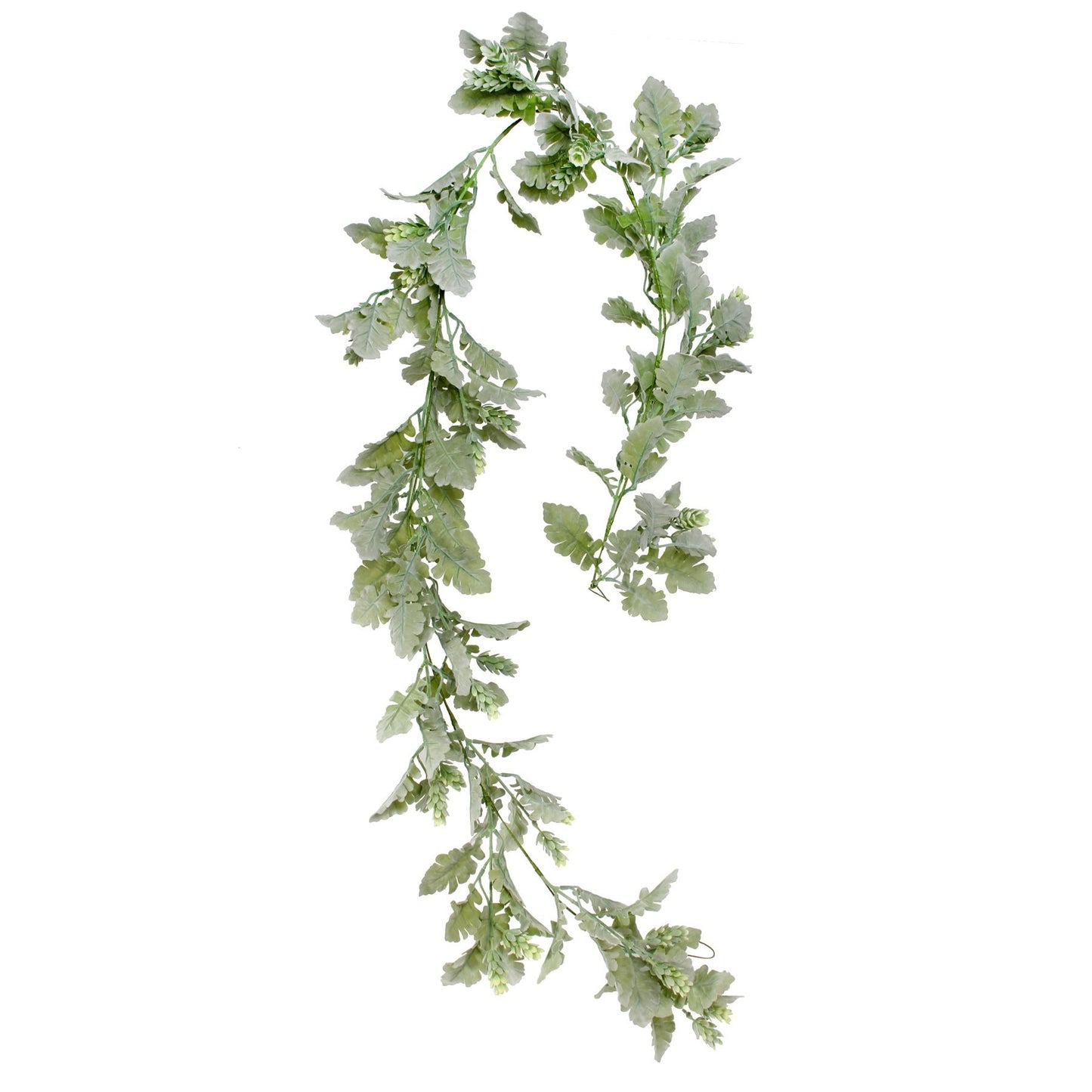 Dusty Miller &amp; Hops Garland (180cm)
