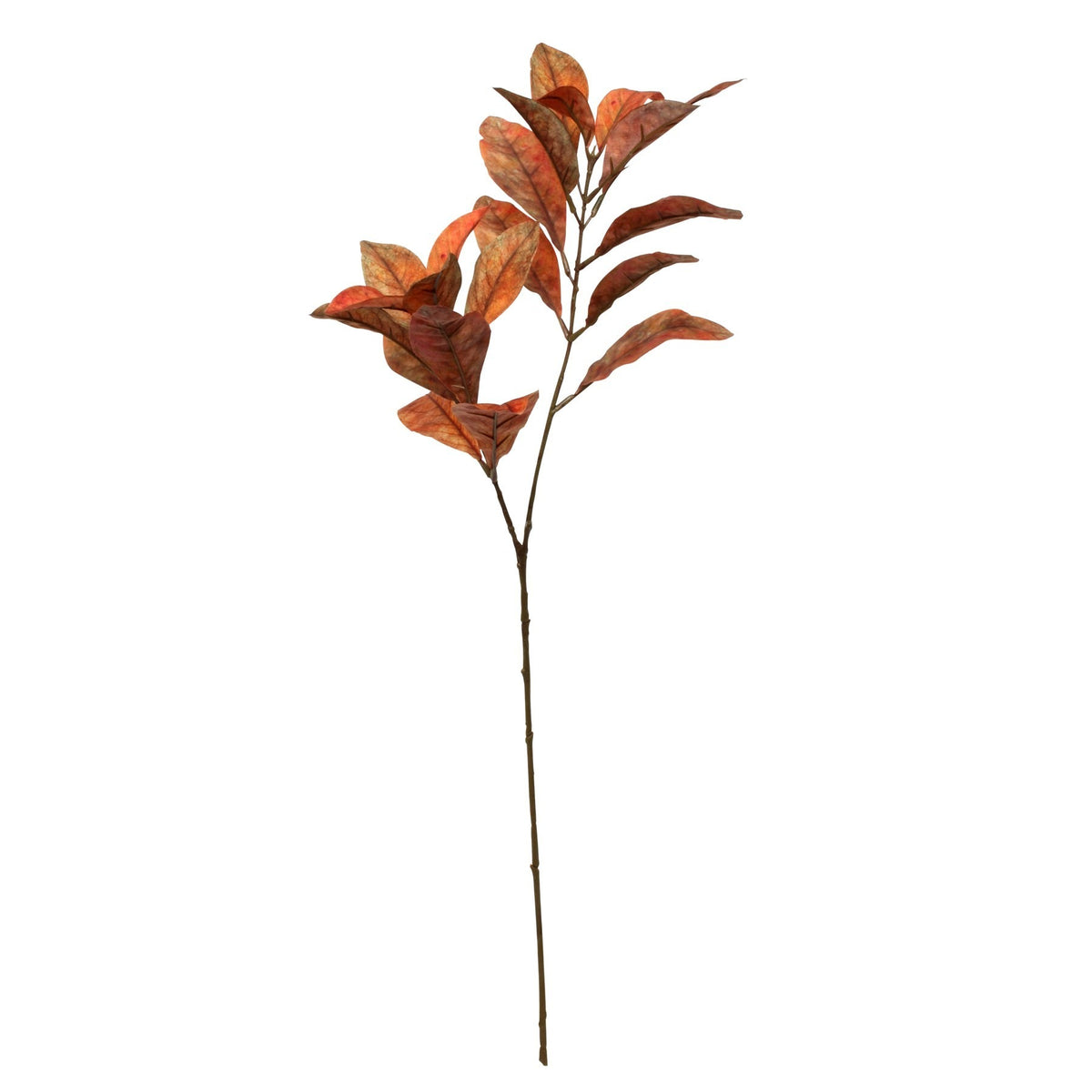 بخاخ كروتون غلاميس برتقالي (72 سم)
