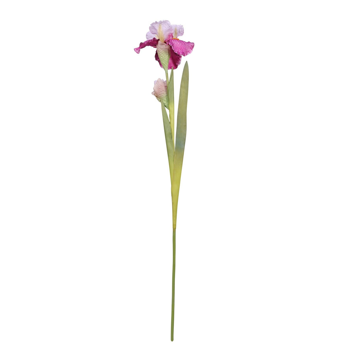 Monet Iris Pink 87cm