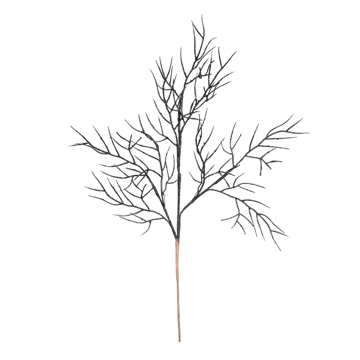 غصن أغصان لامع أسود (ارتفاع 65 سم)