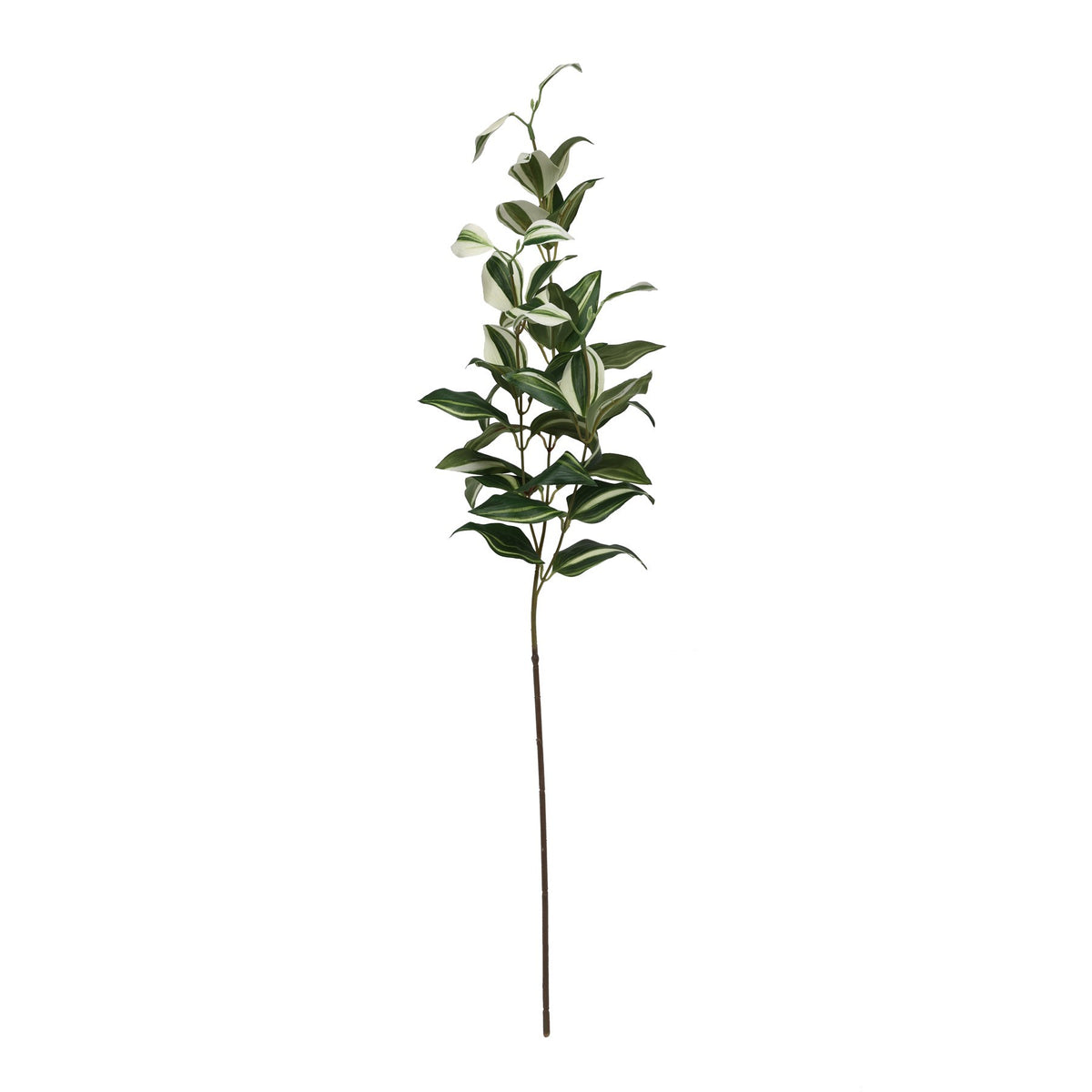 بخاخ نبات التراديسكانتيا (74 سم)
