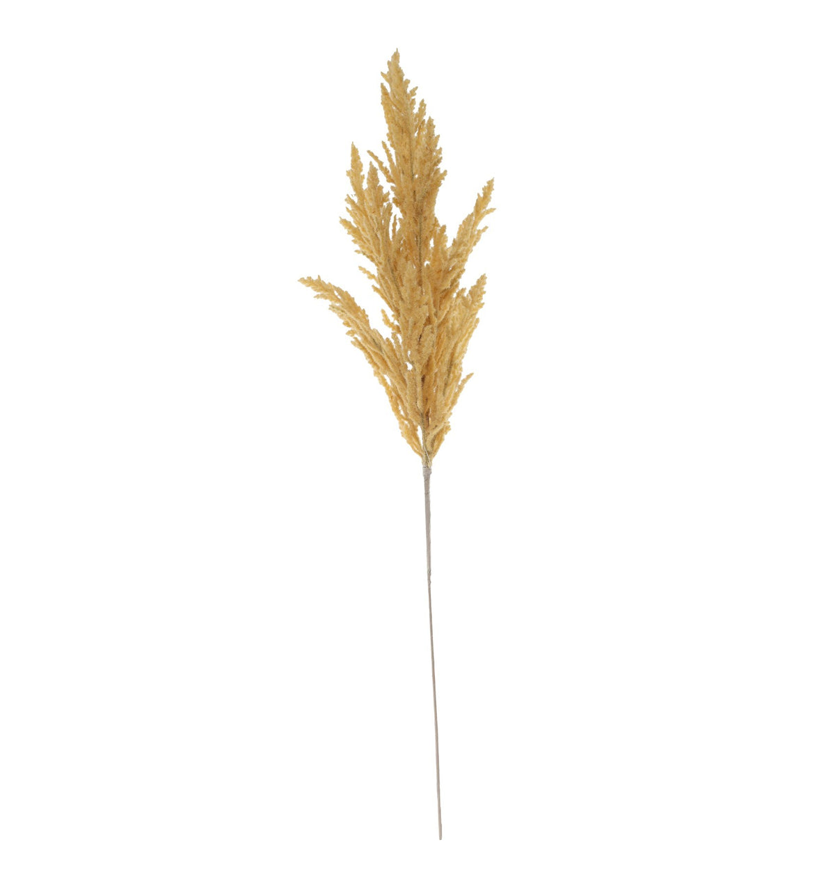 بخاخ عشب جاف بني (68 سم)