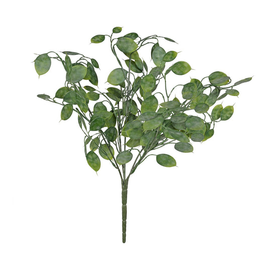 Botanica Honesty Leaf Bush (43cm)