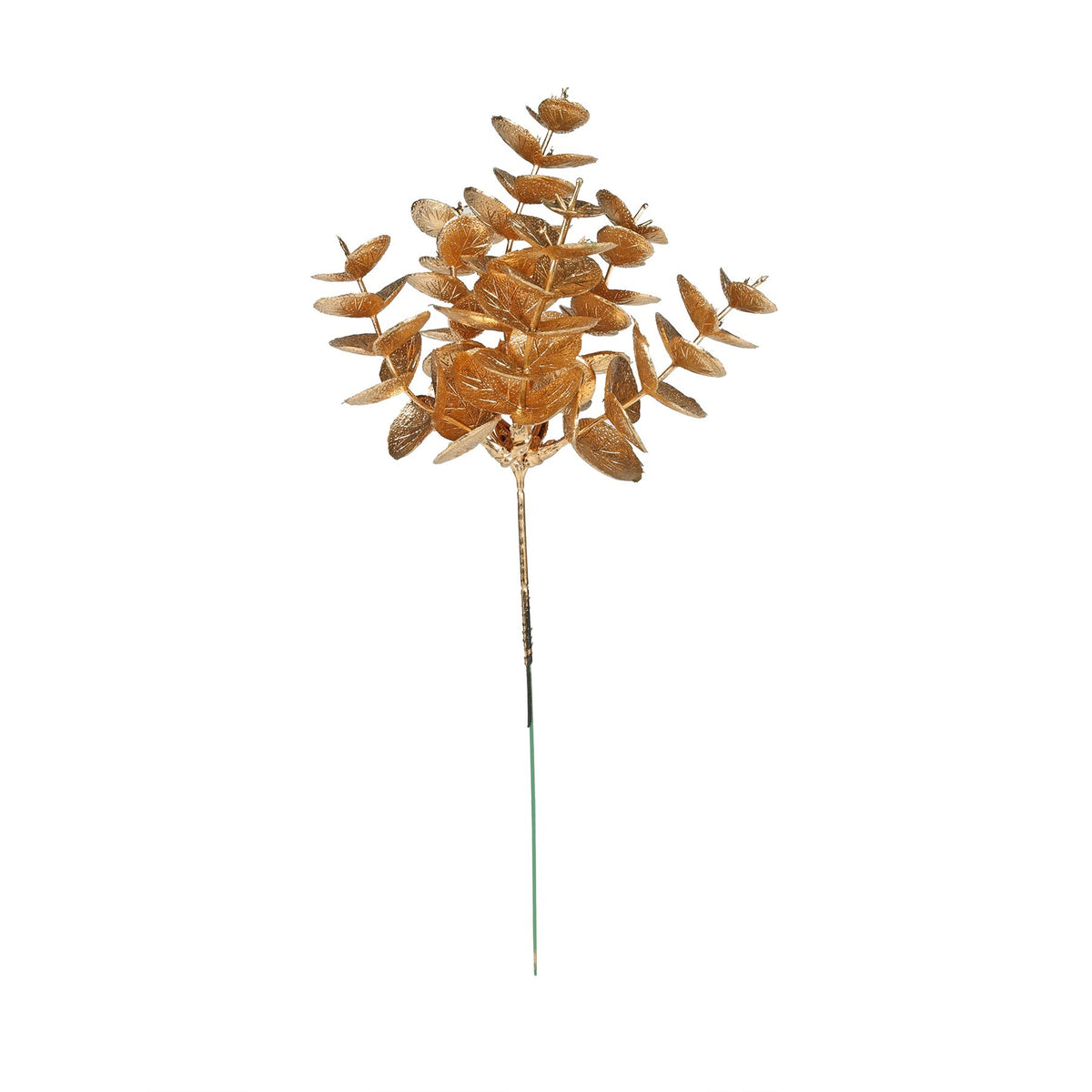 غصن كافور شامبين معدني (ارتفاع 25 سم)