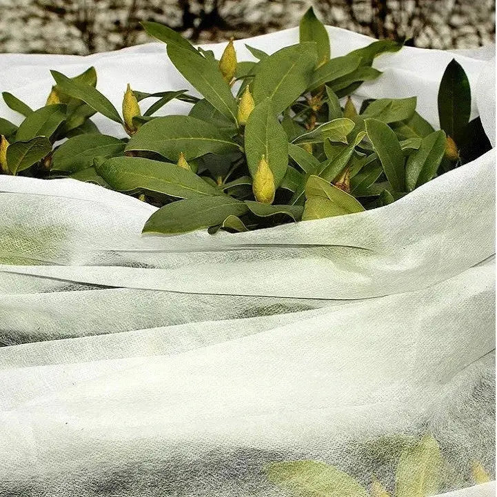 Garden Plant Frost Protection Fleece Cover Marksman White 1.5m x 15m Sheet