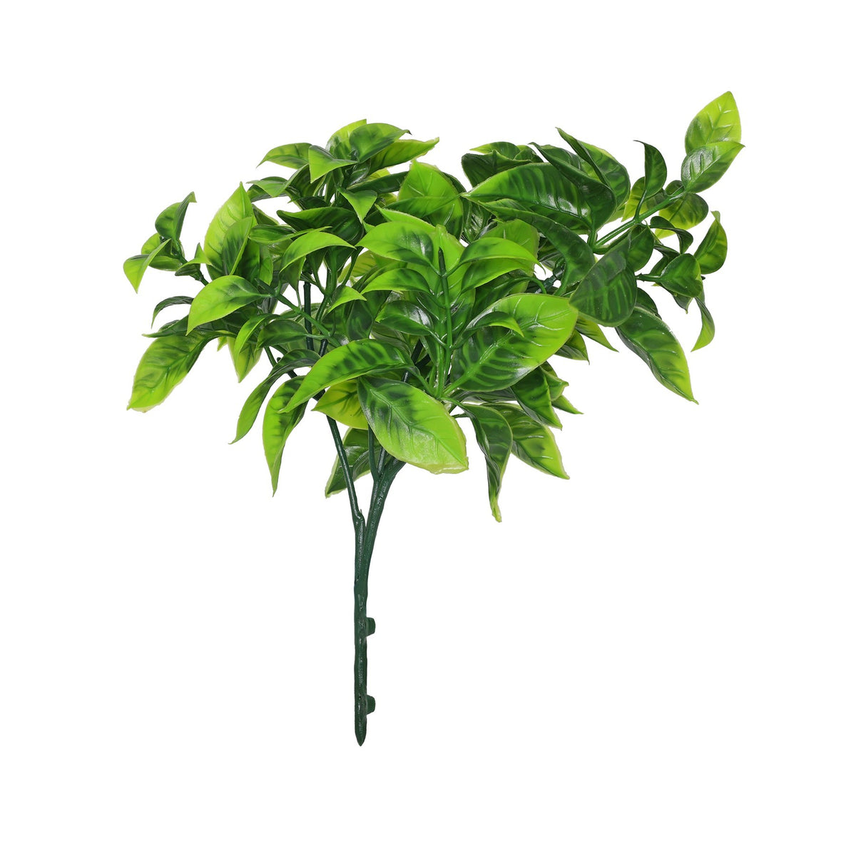 شجيرة مدببة خضراء (25 سم)