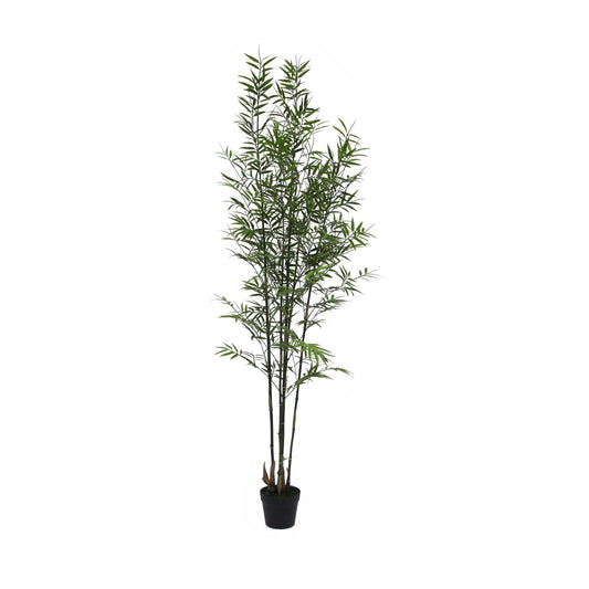 UV Botanica Bamboo Plant  (182cm)