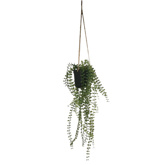 Botanica Mini Leaf Hanging Plant (50cm)