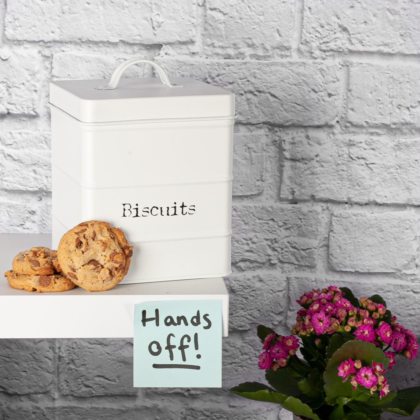 Vintage Metal Biscuit Tin