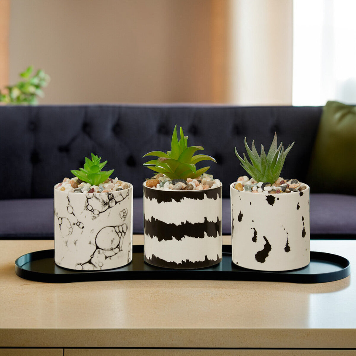Mimo Set Of 3 White And Black Succulents
