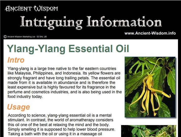 Ylang Ylang Essential Oil Info