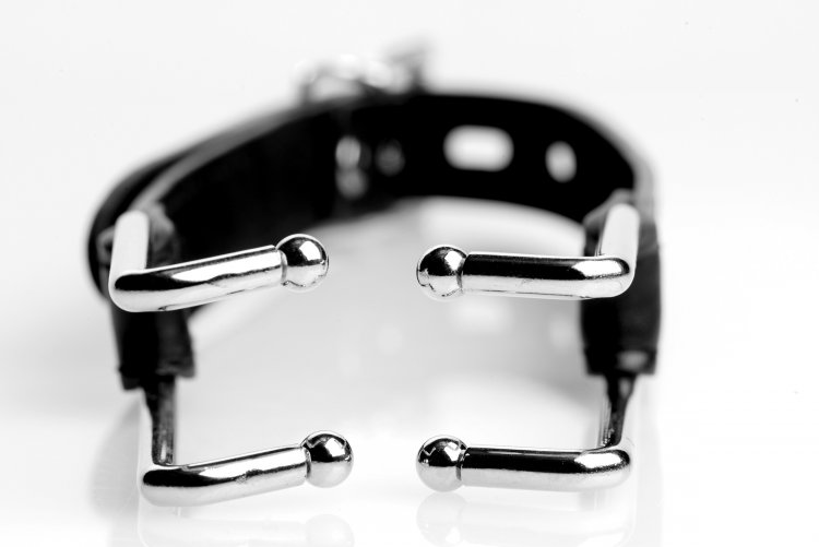 78834939