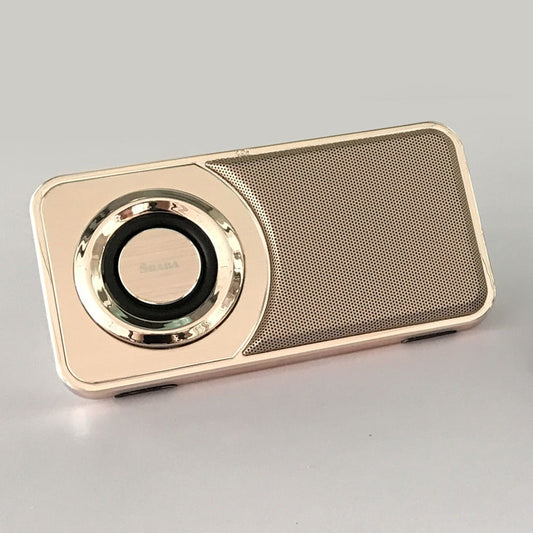 Retro Mini Bluetooth Speaker - Portable Wireless Metal Speaker with FM Radio & USB - Premium Sound Gift