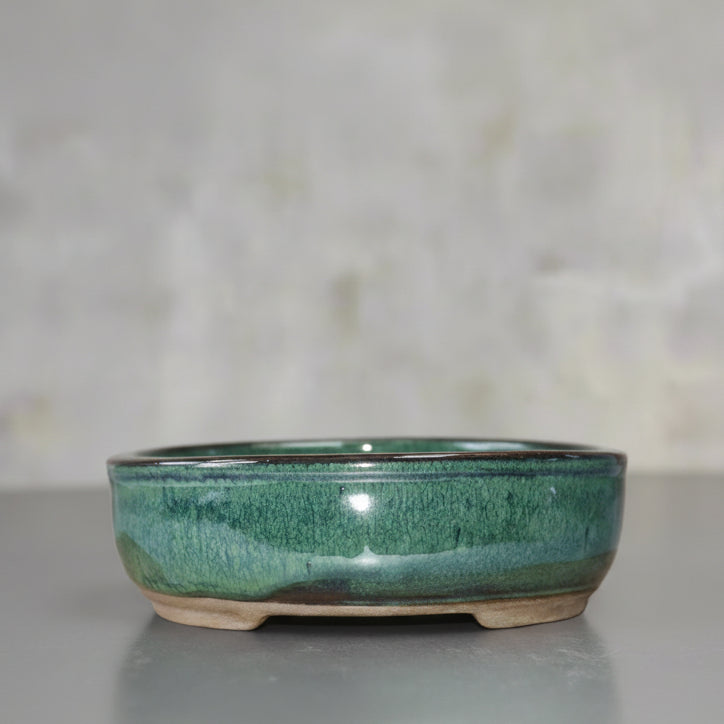 16cm Glazed Bonsai Pot | Oval | 16cm x 12cm x 3cm | Green