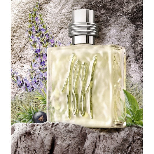 عطر شيروتي 1881 بور أوم أو دو تواليت بخاخ 25 مل