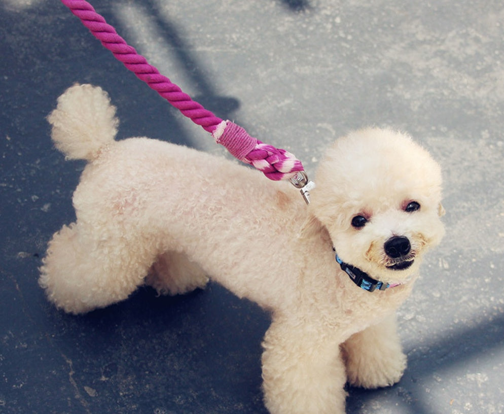 Pet dog traction rope cotton hand-woven rope dog walking rope