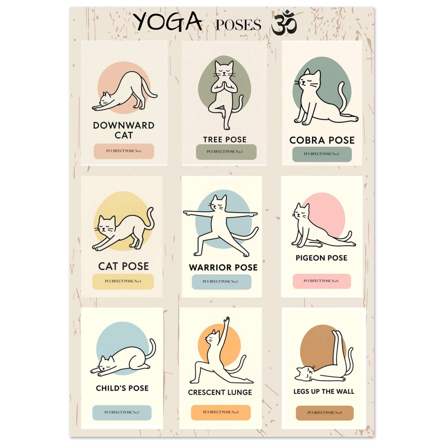 Funny Cat Yoga Wall Art