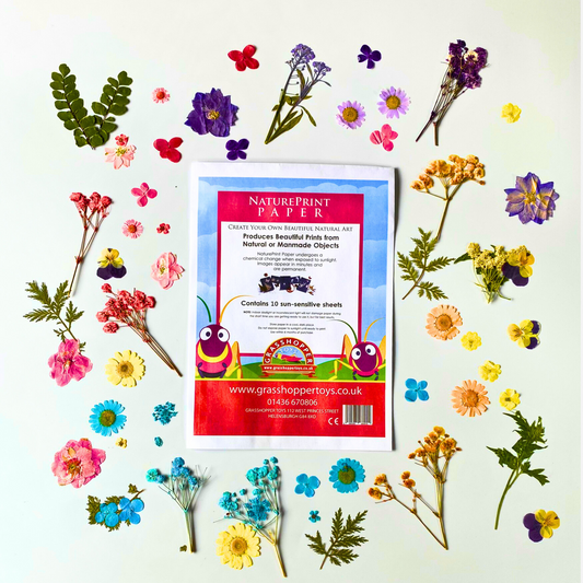 Curious Minds Sun Print Paper Kit, 10 Sheet Pack of Cyanotype Paper, 18x13 cm Sheets