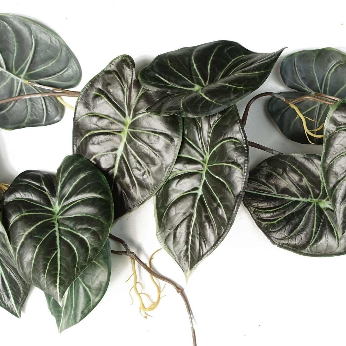 120cm Artificial Hanging Trailing Plant Alocasia Dragon Scale Dark